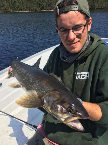 Speckled trout